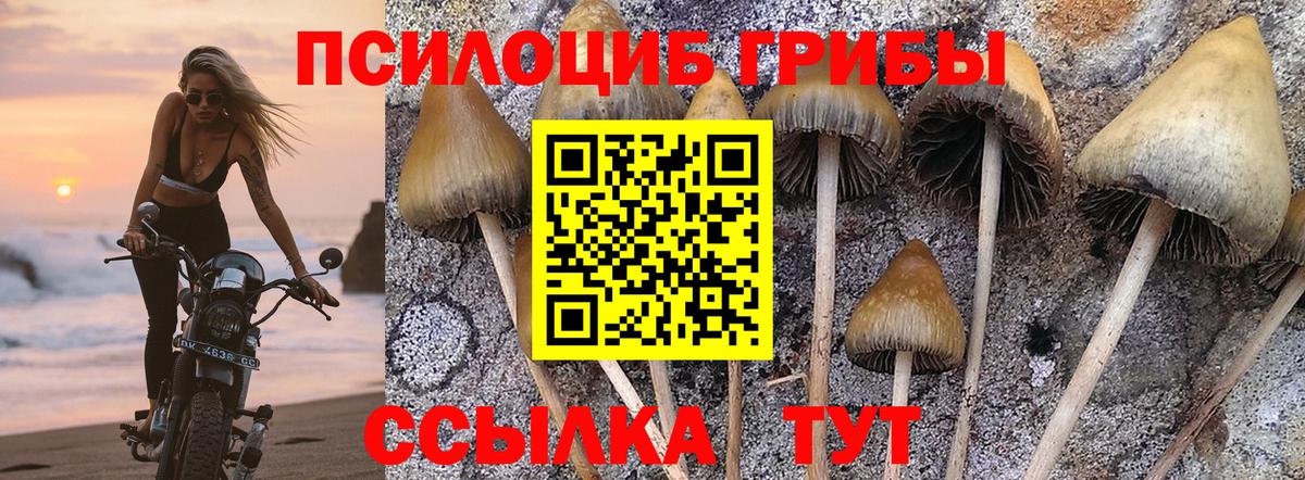 Псилоцибиновые грибы мухоморы  Вход с VPN  Лесосибирск  Псилоцибиновые грибы GOLDEN TEACHER 